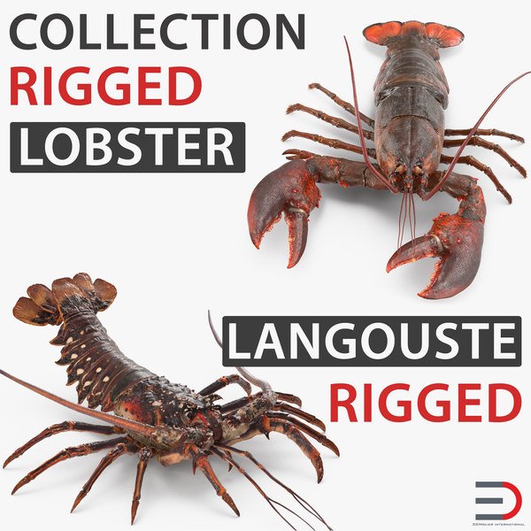 Lobster langouste rigged 3D model - TurboSquid 1206463