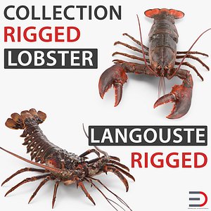 Lobster and Langouste Rigged 3D Models Collection