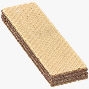 ordinary wafer 01 3D model
