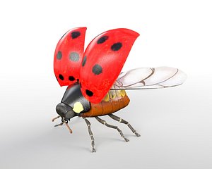 Ladybug Insect Rigged