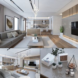 3D Modern Apartment-Flat Interior model