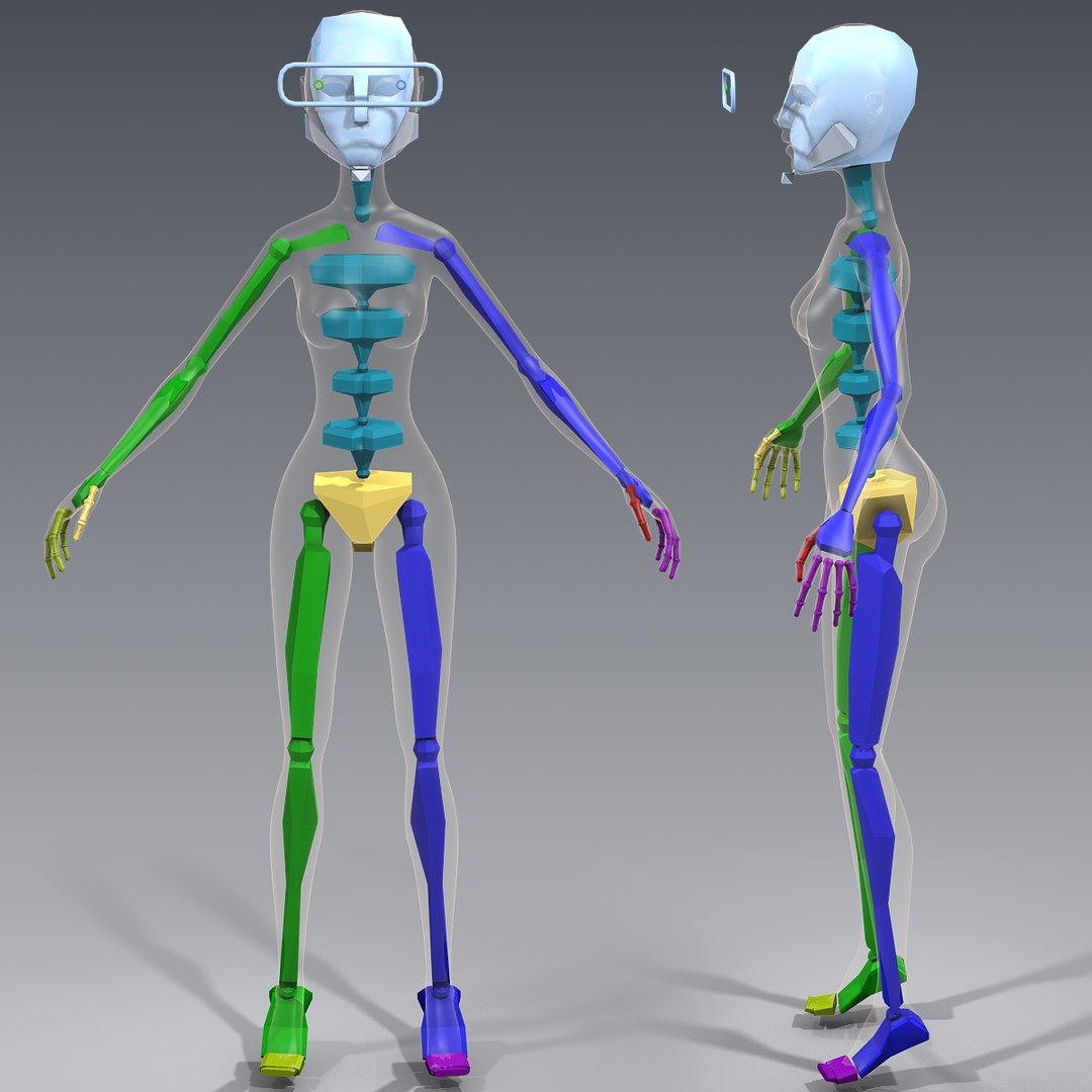 3d cartoon character young woman model https://p.turbosquid.com/ts-thumb/jx/1l1jmr/8V6klPa4/skeleton/png/1366877179/1920x1080/fit_q87/e5fc83e57c532724c09ea7d99388ac3c34a3cf79/skeleton.jpg