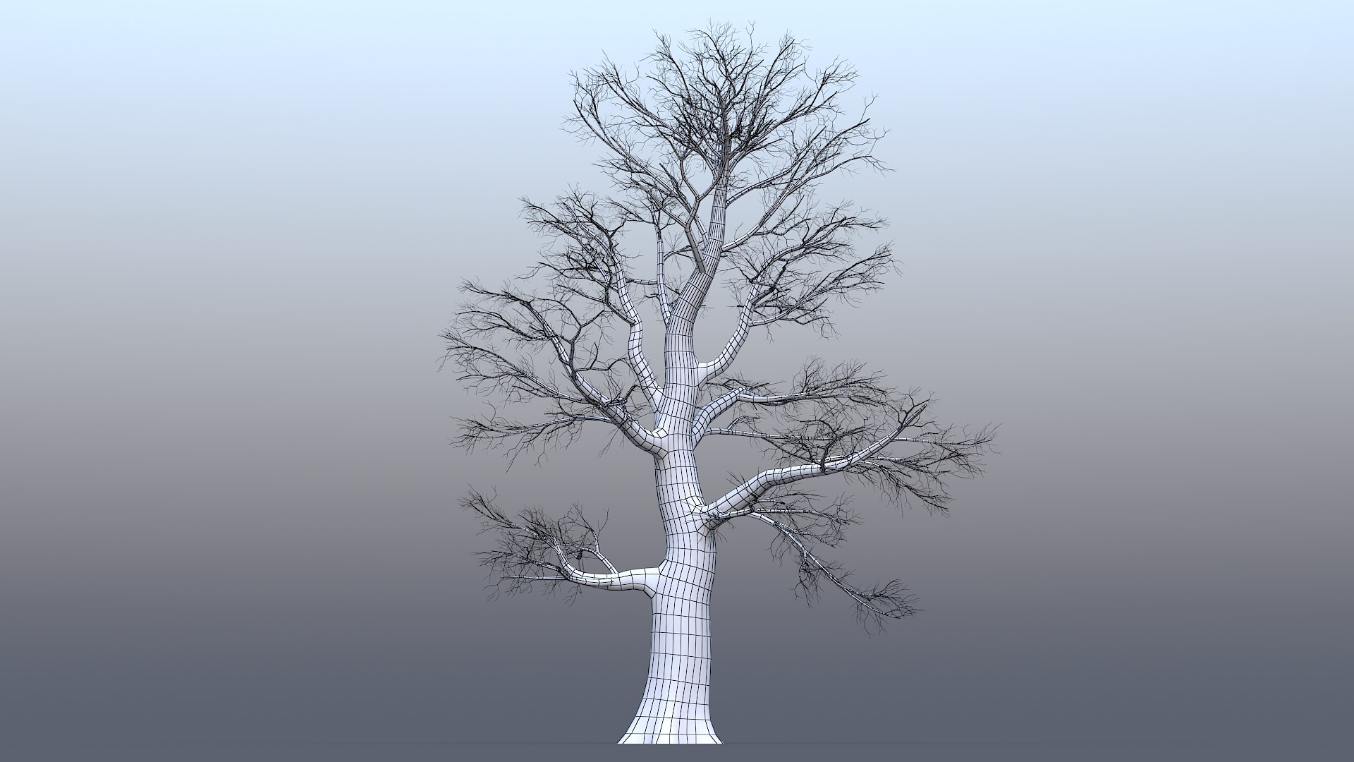 3D Dead Oak Tree Model - TurboSquid 1625246