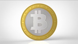 bit coin model