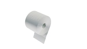 3D TOILET PAPER model