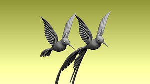 colibri humming bird 3D