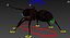 Ant Rigged Animated 8K PBR Textures