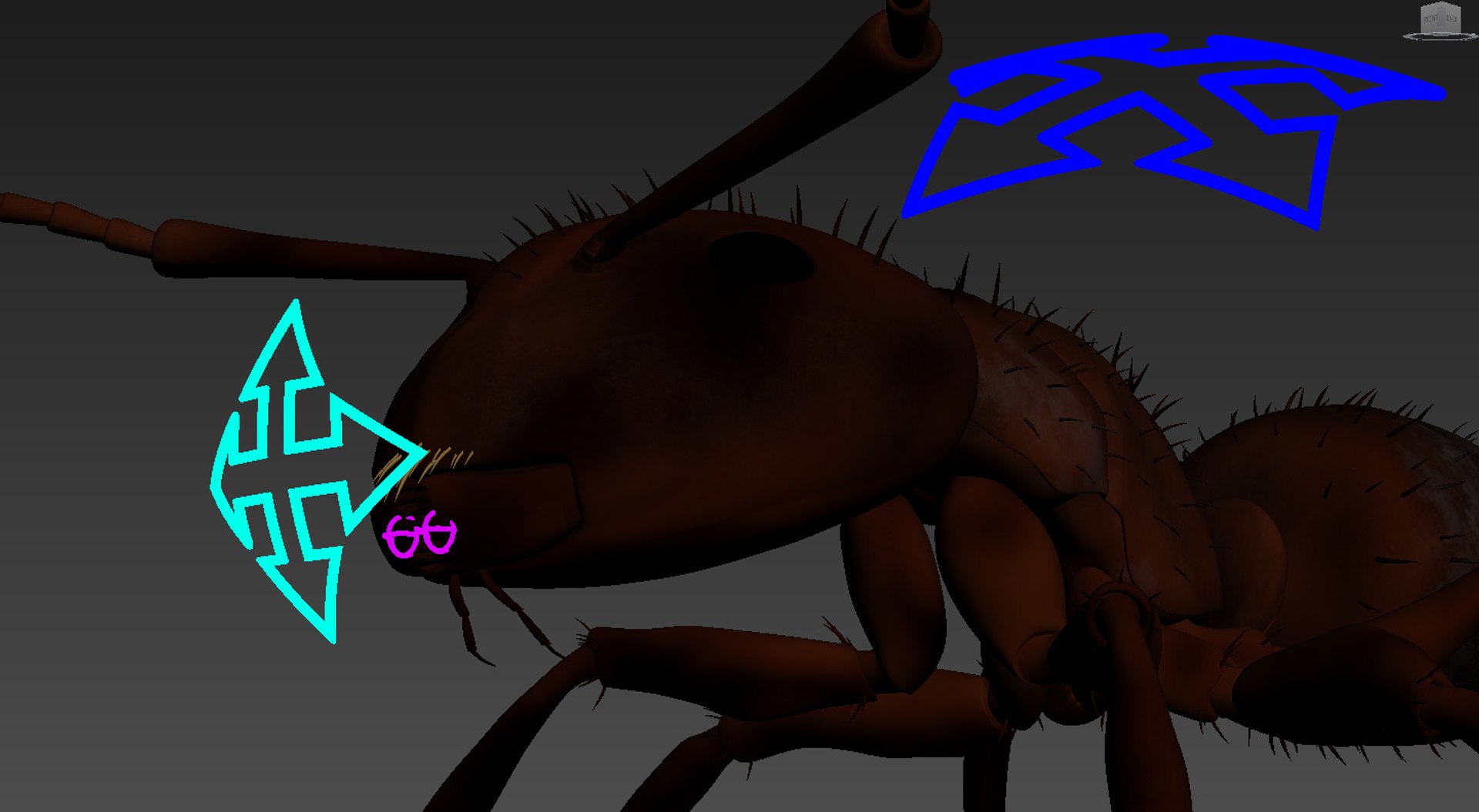3D Ant Rigged Animated 8K PBR Textures https://p.turbosquid.com/ts-thumb/jx/Ml7GBH/Nv/ant_rig_03/jpg/1662471409/1920x1080/fit_q87/5000e13f8be2f495342acffc396f64b3c80788b3/ant_rig_03.jpg