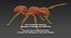 Ant Rigged Animated 8K PBR Textures