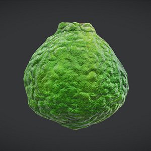 Fruit Kaffir lime Low Poly model