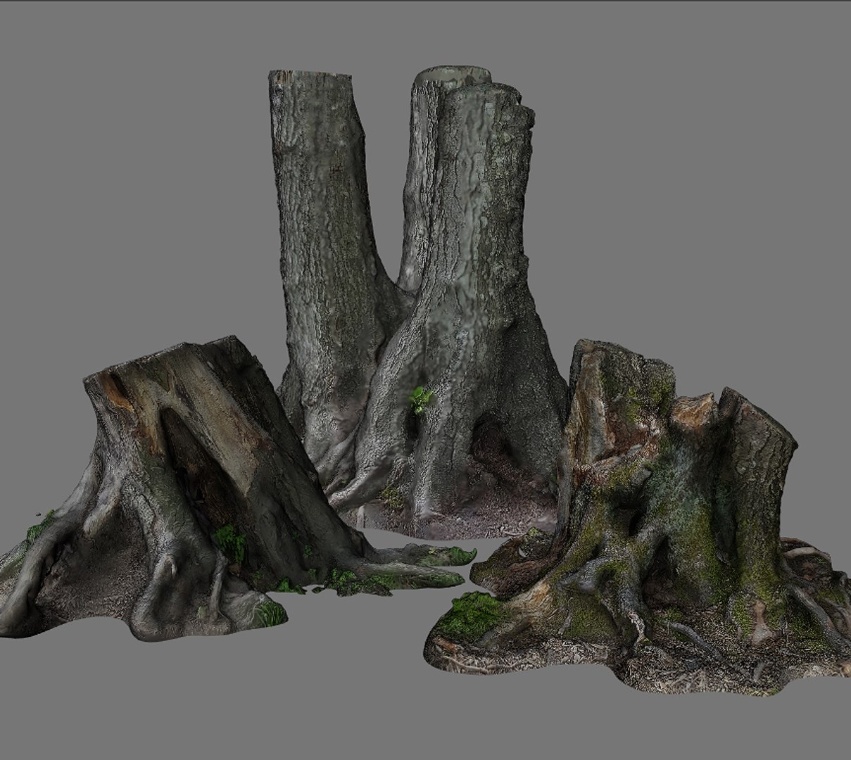 3d Treestumps Stump Model