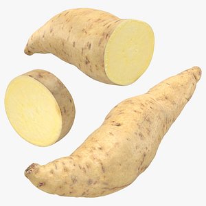 3D Sweet Potato 01 Collection model