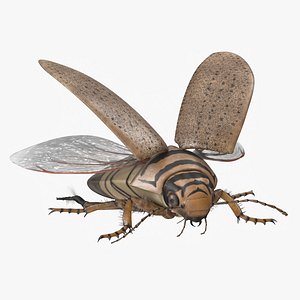 Hygrobia Beetle Beige Flying