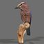 3D model animal scanned unity