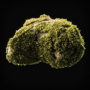 Moss Low Poly 10