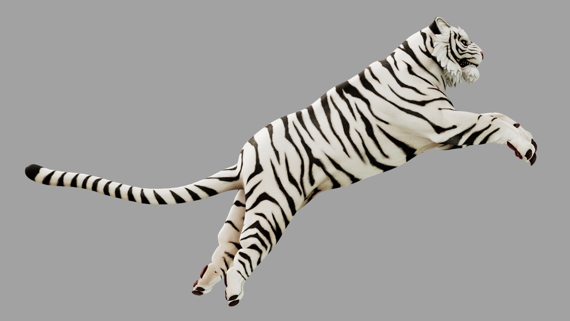 3D White Tiger - TurboSquid 2097088