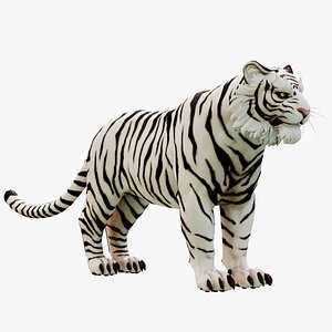 3D White Tiger