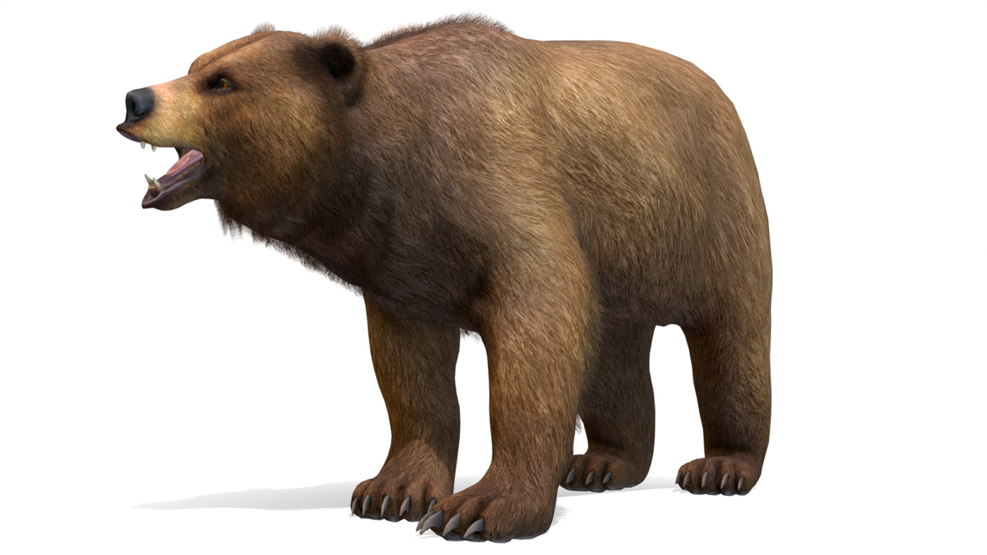 3D Bear - Male https://p.turbosquid.com/ts-thumb/jx/vwtQhX/Yq/r1/png/1688135633/1920x1080/fit_q87/be6946318acb0575b9596216fd7cadc115b81f6c/r1.jpg