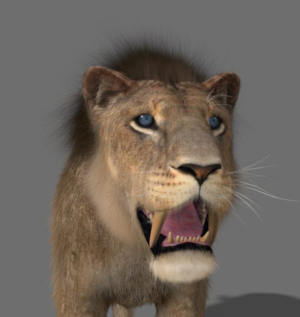 Maya Sabretooth Animation Sabre Tooth