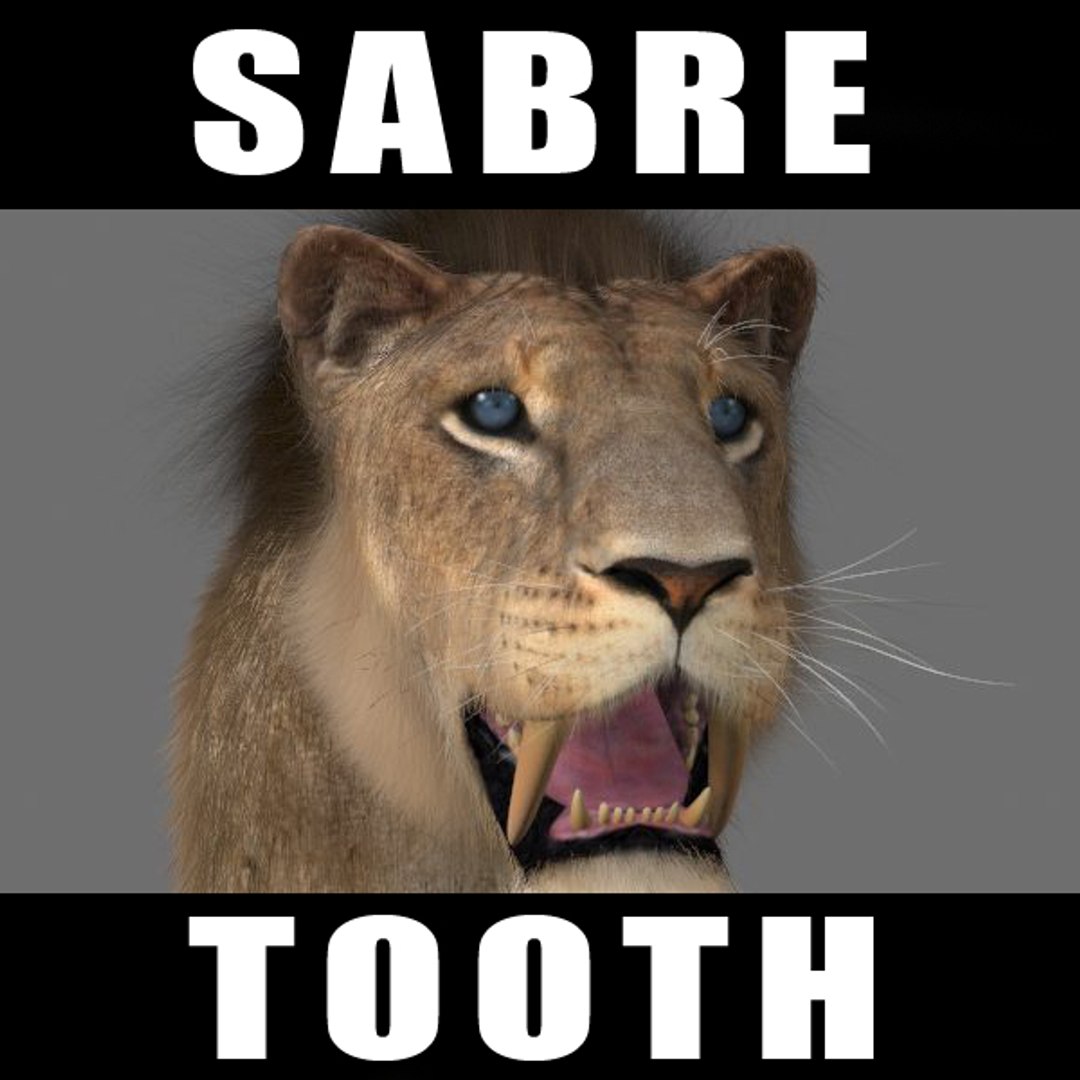 Maya Sabretooth Animation Sabre Tooth