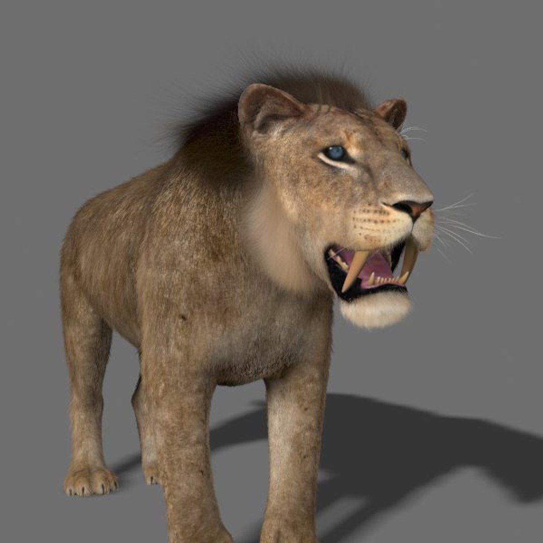 Maya Sabretooth Animation Sabre Tooth