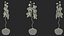 Orchid Collection 2