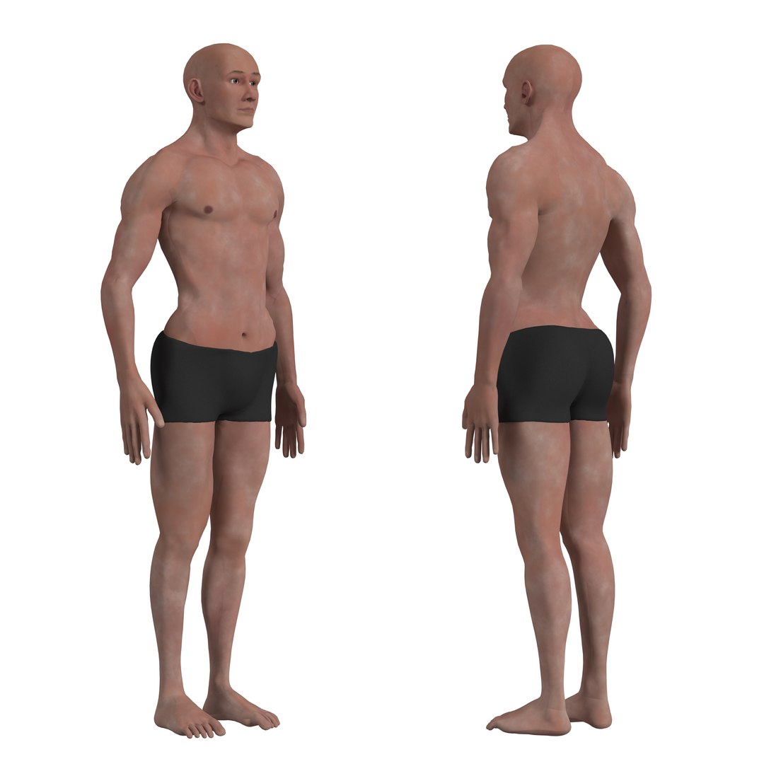 3D Complete Human Body Anatomy - Muscles Skeleton Internal Organs ...