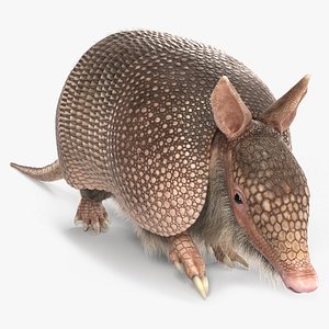 Armadillo in Walking Pose Pink Fur