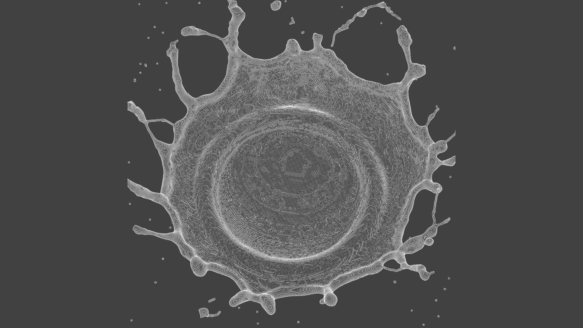 Splash Collection Pack 07 3D - TurboSquid 2369278