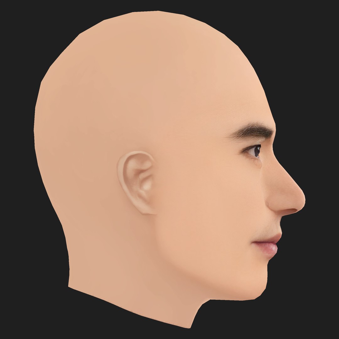 Low Poly Takeshi Kaneshiro - Jin Cheng Wu Head 3D https://p.turbosquid.com/ts-thumb/jy/uKxml4/Nu/06/png/1787715433/1920x1080/fit_q87/0870c66dd732b4223765441d0da0d2a869b9ab8c/06.jpg