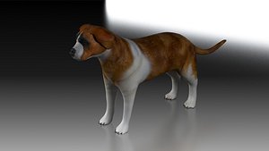 3D dog animal pet canine rescue snow alps park obedience nature