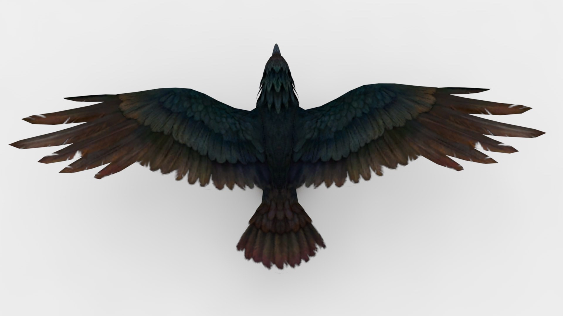 3D Model 2in1 Carrion Crow Rigged And Animated - TurboSquid 2348409