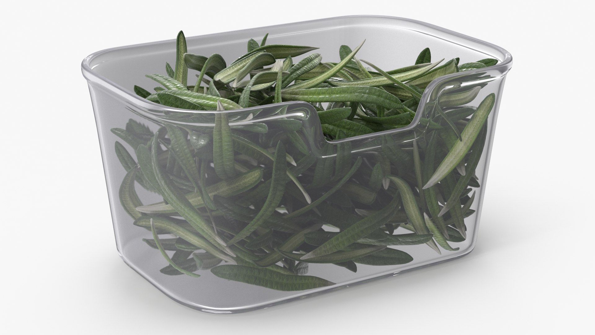 Leaves Rosemary in Transparent Container 3D model preview
