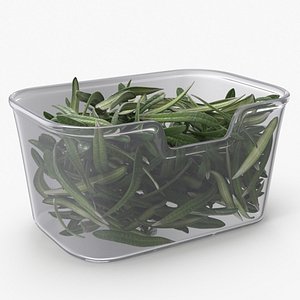 3D Leaves Rosemary in Transparent Container