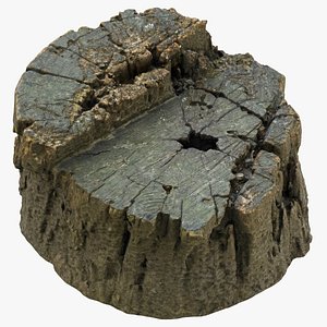 tree stump 01 3D