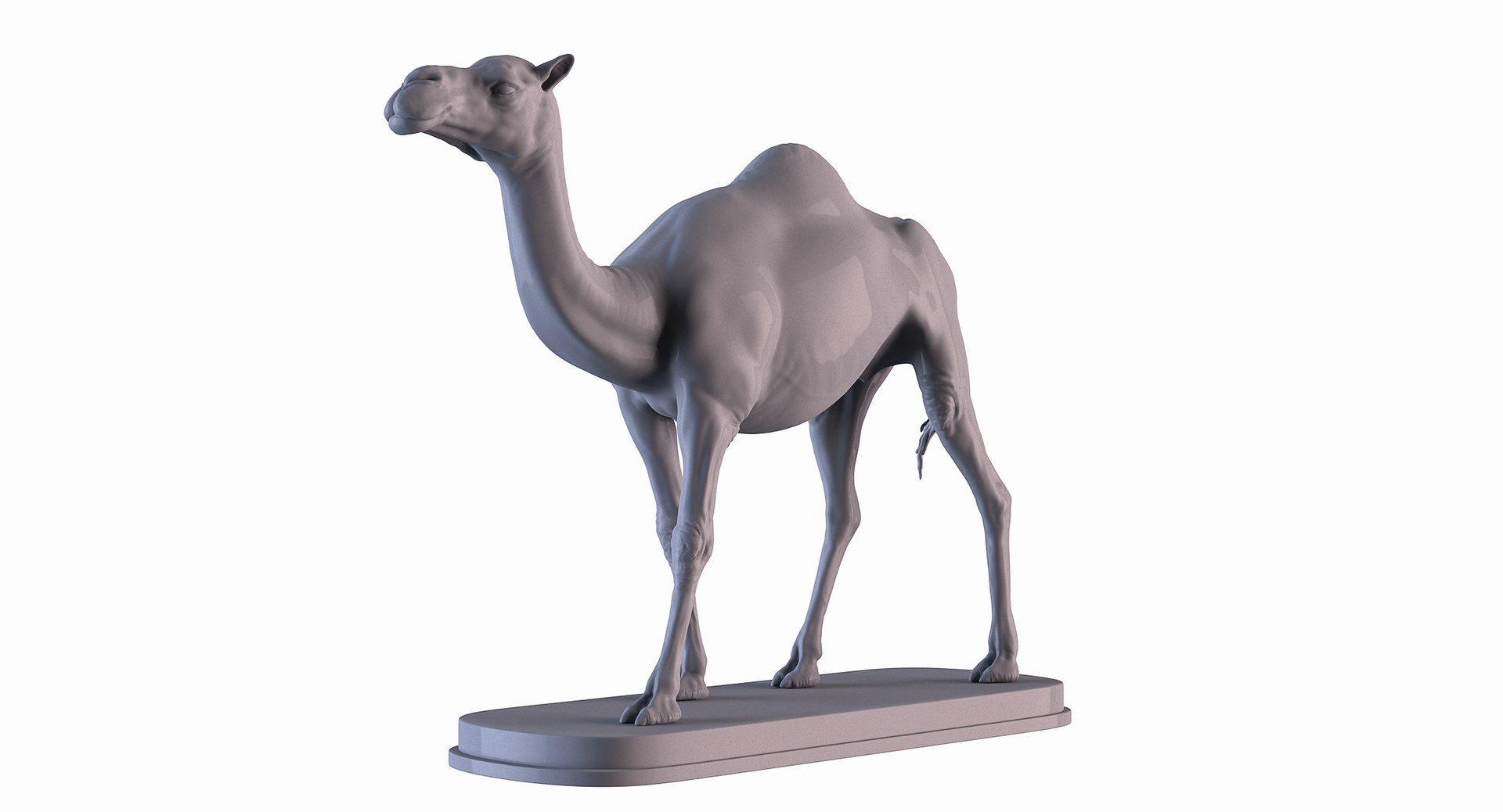 3d-camel-turbosquid-1769962