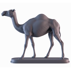 3D Camel