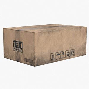 Cardboard Box 2 Worn Closed
