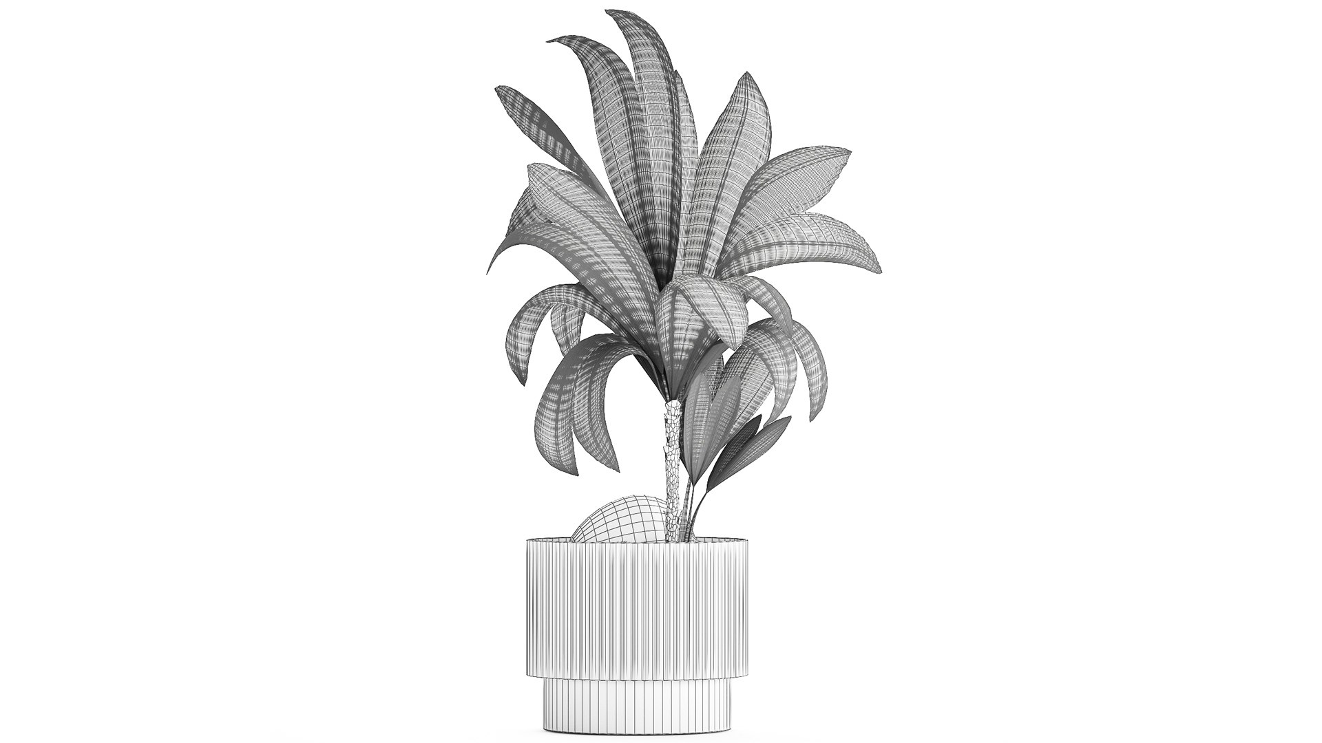 3D Small Young Coconut Tree Coconut Nucifera Pot 1457 model https://p.turbosquid.com/ts-thumb/jz/ihcZf8/tM/1cocosnucifera23112309/jpg/1701089036/1920x1080/fit_q87/928c610160067e1e9794777ad94fd796f1d18ba4/1cocosnucifera23112309.jpg
