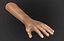 Realistic Hand