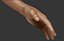 Realistic Hand