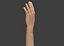 Realistic Hand