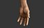 Realistic Hand