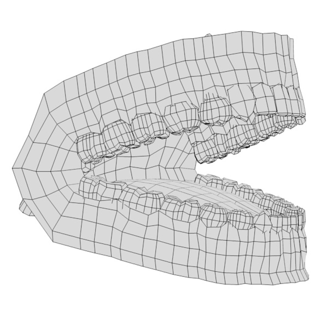 permanent human teeth 3d 3ds