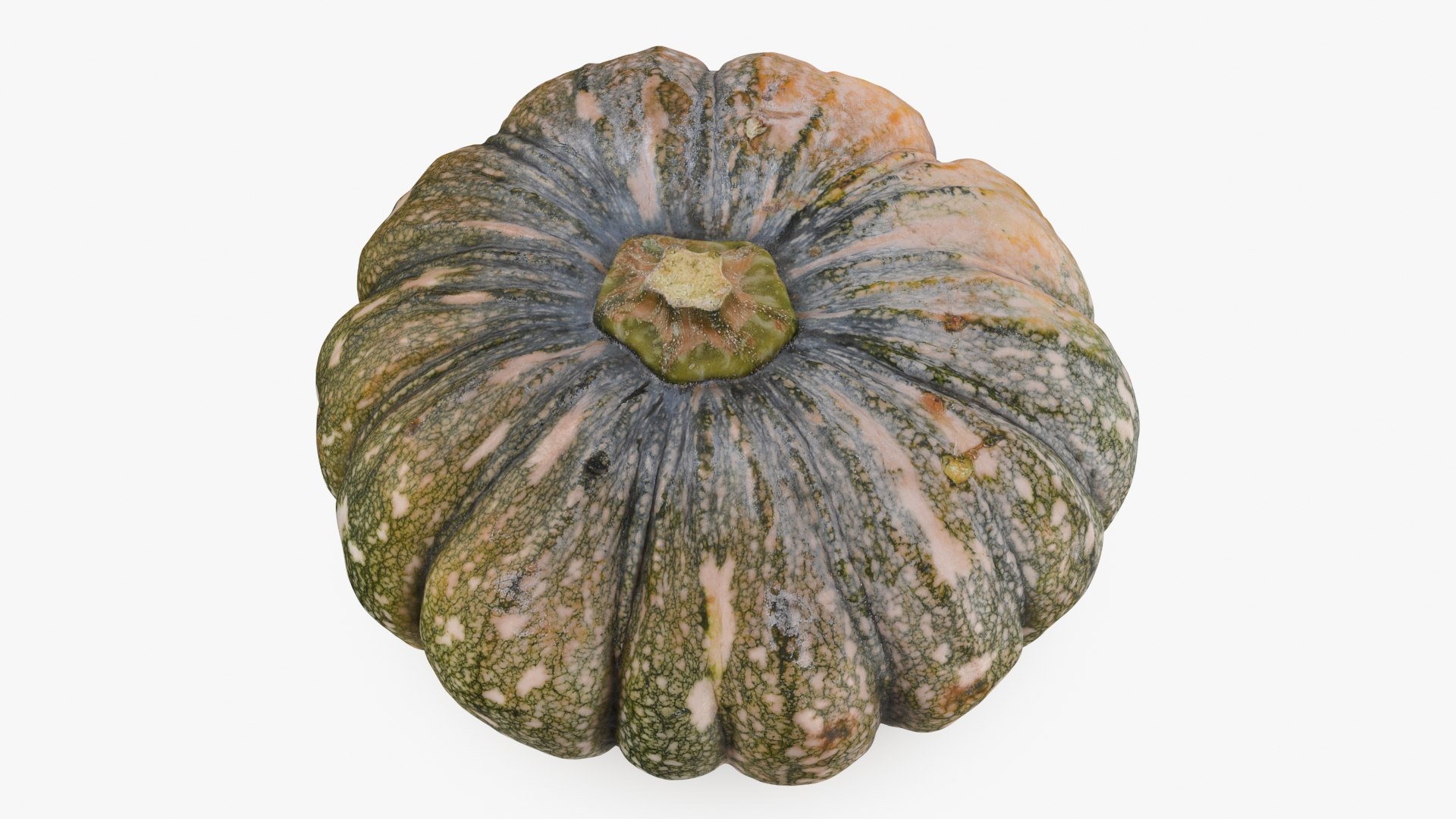 3D Pumpkin Collection 3 model https://p.turbosquid.com/ts-thumb/jz/sBTWu6/rg/asipumpkin_a0001/jpg/1716982999/1920x1080/fit_q87/e842c169f873d1e00edafa82ffa61d1d4e6b7902/asipumpkin_a0001.jpg