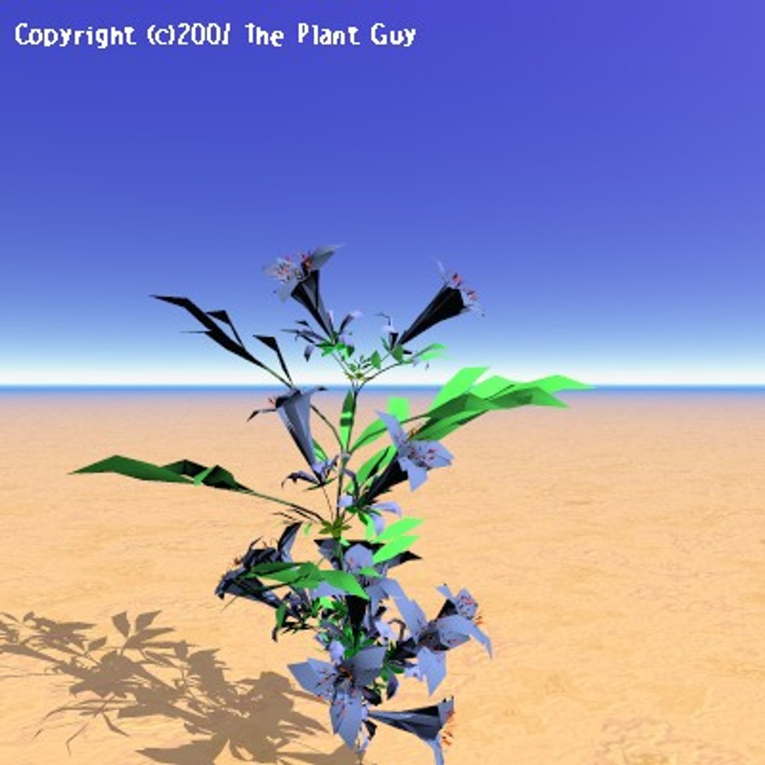 blue dragon flower plant 3d model