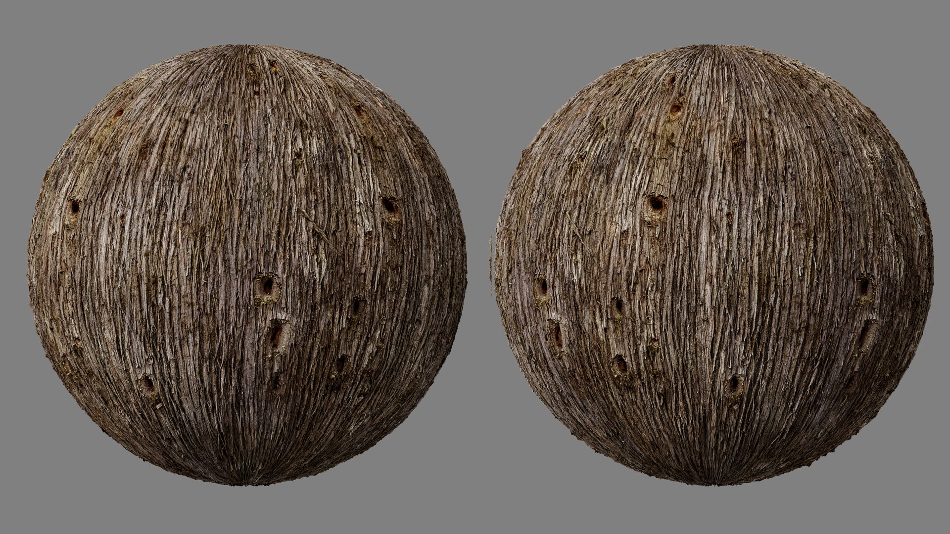 Eastern Red Cedar PBR tiled texture 8K 3D model https://p.turbosquid.com/ts-thumb/k0/4yd82u/i1/red_cedar03/jpg/1773648334/1920x1080/fit_q87/840e76ee95851f76cf765f7d725ca0caa7077550/red_cedar03.jpg