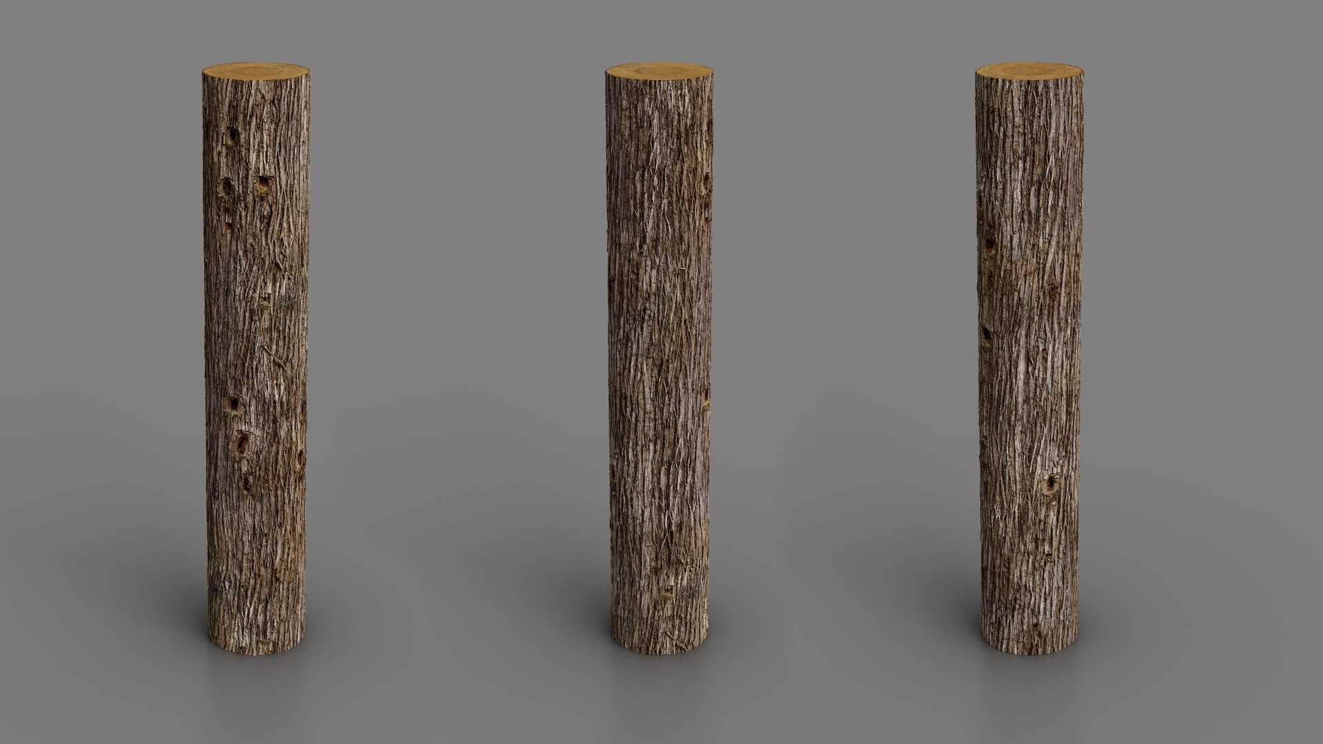 Eastern Red Cedar PBR tiled texture 8K 3D model https://p.turbosquid.com/ts-thumb/k0/4yd82u/j6/red_cedar01/jpg/1773648330/1920x1080/fit_q87/4012ee6ea6fd3b69136a1e42c929ab319e6289b0/red_cedar01.jpg