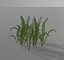 forest plants 3D