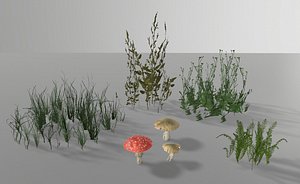 forest plants 3D